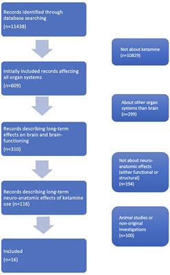 Frontiers Brain Changes Associated With Long Term Ketamine Abuse